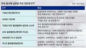 ‘21세기 골드러시’ 반도체… 개미들, ETF로 몰린다