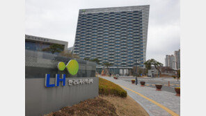 LH, 서리풀지구 전담조직 신설…2029년 분양 목표