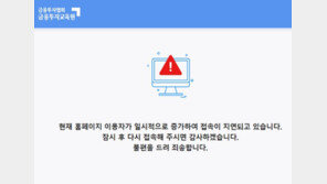 ‘삼전닉스 ±2배’ ETF 하루새 10조 몰려… 상품 가입 위한 교육사이트 한때 마비