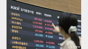 9% 뛴 하이닉스, 삼전 이어 ‘1조달러 클럽’… 펄펄 끓는 반도체株