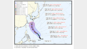 제6호 태풍 ‘장미’ 북상…기상청 “한반도 영향 없을 것”