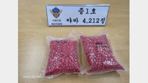26억원대 필로폰-야바 밀반입 시도 태국인 검거