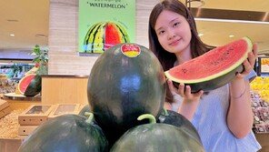“고창 명품 수박 맛보세요”