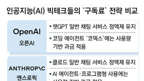 빅테크 ‘AI 구독료’ 경쟁… 오픈AI 종량제 전환-메타 반값 정액제