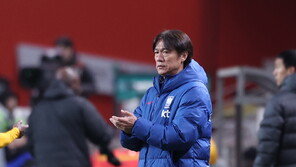 한국 3차전 상대 남아공 빅리그 ‘0’… 국내파로만 “최약체… 32강 힘들 것”