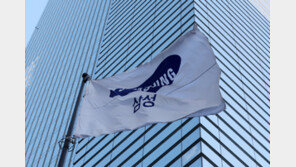 삼성전자 시가총액 2000조 시대… 외국인은 ‘삼전우’, 기관은 ‘삼전’ 담았다