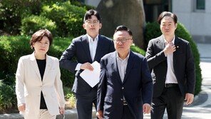 국힘, 서울경찰청장에 “편파 수사·정치 탄압 항의”…선관위도 방문