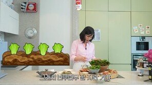 “샐러드로도, 쌈으로도 최고”…최화정이 추천한 상추의 효능