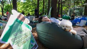 반려견과 함께 쿨쿨 ‘숲속 개꿀잠 대회’
