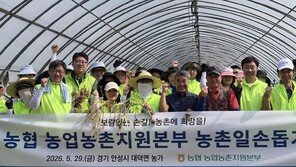 농협, 영농철 농촌 현장 지원… 일손돕기·환경정화 활동 이어가
