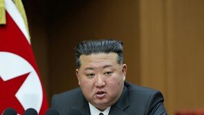 “北, 지도서 독도 삭제…‘두 국가론’에 영유권 포기 가능성”