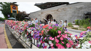 삼청로~청와대로 4.3km 구간에 꽃길