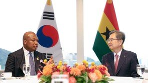 조현, 아프리카 11개국 외교장관과 양자회담…개발협력 방안 등 논의