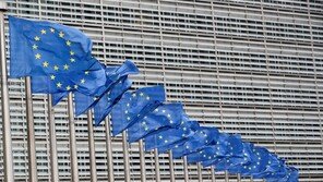 EU, 불법 이민자 제 3국으로 보낸다…트럼프식 反이민 강화
