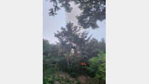 과천 중앙선관위 인근서 산불…인명 피해 없어