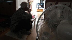 폭염중대경보땐 고위험 노인 안부 하루 2회 확인