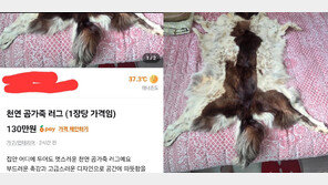 수상한 ‘130만원 곰 가죽’의 정체…“아무리 봐도 개 가죽” 의혹 확산