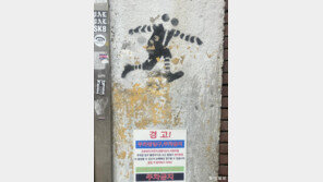 [고양이 눈]“들켰다!”