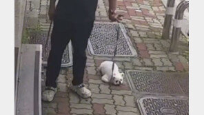 소형견 끌고가며 나뭇가지로 ‘퍽퍽’…광주 동물학대 수사 착수