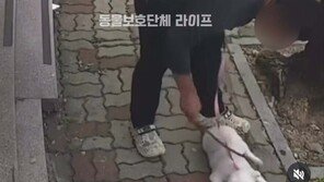“고집부려 때렸다”…광주 반려견 학대 40대 검거