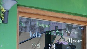 [고양이 눈]안녕, 서울