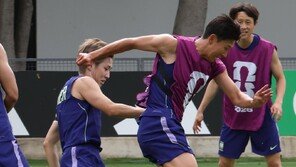 홍명보호, 멕시코 입성 첫 훈련…‘가볍지만 진지하게’ 구슬땀