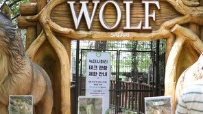 “늑구 꼬리에 점 있네”…대전오월드 재개장 사흘째 가족 관람객 붐벼
