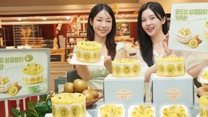 “키위 케이크, 입안에서 살살 녹아요”
