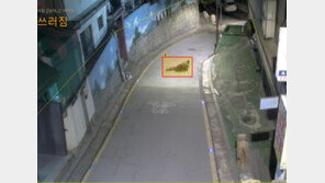 [중구] 폭행 등 위험 상황 땐 경보… AI 지능형 CCTV 도입
