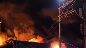 안산 종이상자 공장 불 인근 번져… 소방, 대응 2단계로 상향