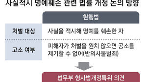 [단독]‘사실적시 명예훼손’ 처벌대상 축소 추진 “표현의 자유 위축 방지”