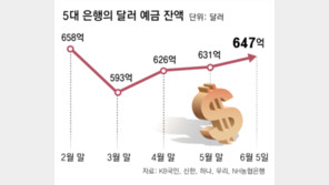 달러 예금, 4영업일만에 16억 달러 급증… 기업들 ‘원화 환전’ 안해