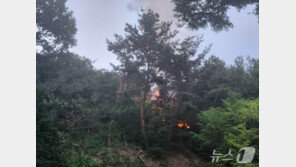 6·3 지방선거일 중앙선관위 부지 화재…“방화 가능성은 없어”