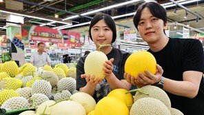 “노란 멜론도 맛보세요”