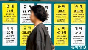 보유세 기준되는 ‘공정가액비율’ 상향 거론… 장특공제 줄일듯