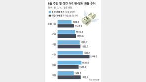 “환투기세력 외환시장 교란” 한은-금감원, 13년만에 공동조사