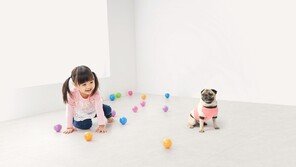 “코로나바이러스 99.9% 감소”… KCC글라스, 기능성 바닥재 ‘숲 도담’ 리뉴얼 출시