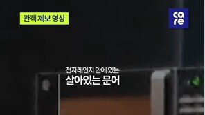 “살아있는 문어 밟고 전자레인지에”…국제무용제 ‘동물학대’ 논란