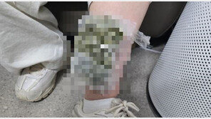 진공포장 필로폰 1㎏ 삼킨 브라질男, 한국 입국하다 덜미