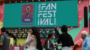 “내 월드컵 티켓이 가짜라고?” 해외서 가짜 FIFA 사이트 기승