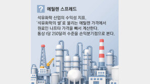 전쟁중 ‘고가 나프타’ 역풍… 하반기 유화업계 실적 비상