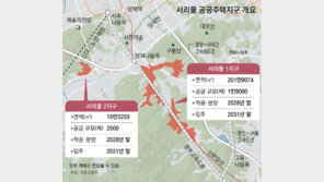 ‘서리풀 2지구’ 공공주택 2000채 공급… ‘주민반대’ 공사 변수