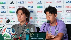 “공중전에 능한 체코… 그들을 불편하게 하라”