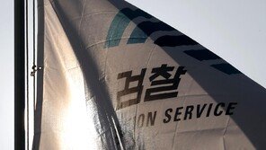 檢, 1심 무죄 사건-경범죄 항소 제한 검토