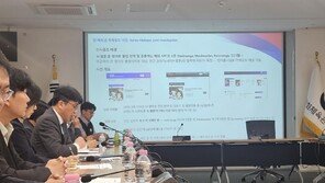 年 2072억 피해 낸 K-웹툰 불법사이트…베트남 부부 검거