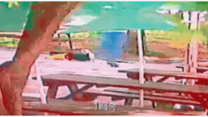 공원서 노는 2살 아이 뒤통수를 ‘퍽’…인천 60대男 송치