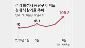 ‘삼전닉스 셔세권의 힘’… 동탄 아파트 경매도 불붙었다