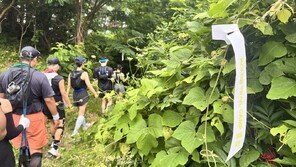 기록 대신 풍경과 추억 남겼다… ‘신비의 섬’ 울릉 44km 달린 러너들