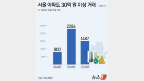 서울 ‘30억 이상’ 초고가 거래 35% 급감…다주택 규제 영향