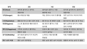 [반려동물 20세 시대] 우리 아이는 정말 잘 지내고 있을까요?